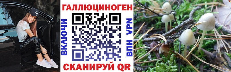 Псилоцибиновые грибы ЛСД  KRAKEN сайт  нарко площадка формула  Псков 